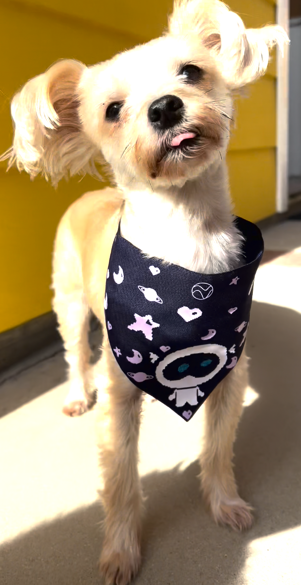 BTS Jin Wootteo x Astronaut Pet Bandana